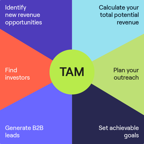 Total Addressable Market (TAM) Definition + How to Calculate It